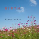 Rianu Keevs - Birth (Original Mix)
