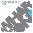Calvin Reid, Viktor Bay - Opem (Instrumental Mix)