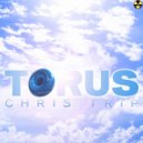 Chris Trip - Torus (Walck Remix)