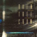 Rain Tree Crow - Blackwater