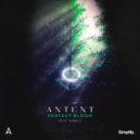 Antent - Perfect Bloom
