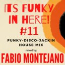 Fabio Montejano - Its Funky in here! #11 Funky-Disco-Jackin House ()
