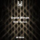 David Bitton - Not Connected