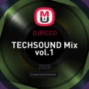 DJRICCO - TECHSOUND Partyvol.1