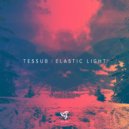 TESSUB - Elastic Light