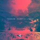 TESSUB - Slippage (Original Mix)