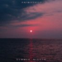 Animadrop - Summer Nights (Original Mix)
