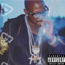 BONES - Findi Fact