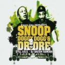 Snoop Dogg & Dr. Dre - Still (DJ Dacian Remix)