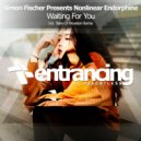 Simon Fischer Presents Nonlinear Endorphine - Waiting For You