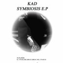 KAD - Techno (Original mix)