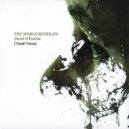 David O'Dowda - The World Retreats