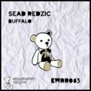 Sead Redzic - Buffalo