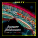 Tajine Tabasco - 303 Export (Original Mix)