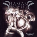 Shaman's Harvest - Dragonfly