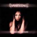 Evanesence - Bring Me To Life (Magnovis Bootleg)