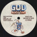 Indigo Jung - Done For