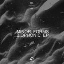 Minor Forms - Shadows