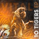 Vital - Visiting Time