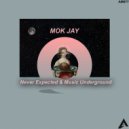 Mok Jay - Never Expected (Da Lex DJ Remix)