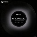 M. Rodriguez - How It Should Be