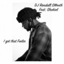 DJ Randall Smooth Feat. Shakiel Smith - I Got That Feelin