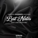 Audentis & District 5 - Lost Notes