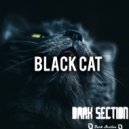 Dhira & Marky P - Grey