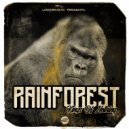 Rainforest - Kodama