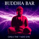Buddha-Bar - DNA Repair