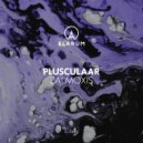Plusculaar - Palo Santo