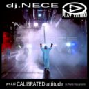 DJ.Nece - Calibrated Attitude (Nando Pascual Remix)