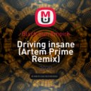 Black Sun Empire - Driving insane (Artem Prime Remix)