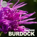 Pandani - Phlox