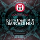 SANCHESFeel - berry fresh MIX