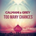 Calmani & Grey - Too Many Chances