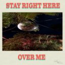 P-Sol - Over Me