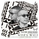 Dvine Brothers Feat Nokwazi - Woza Mali (Original Mix)