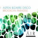 Aspen Bizarre Disco - Brooklyn Paradise