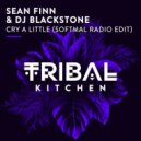 Sean Finn & DJ Blackstone - Cry A Little
