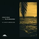 Ozgur Ozkan - Try To Remember