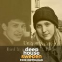 Uniqūm ft. Paule - Bird In A Cage (Original Mix)