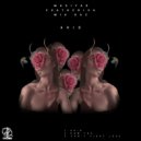 MaXiyaR, EvatheDiva - Can't Fight Love