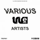 Lebedev (RU) - True Story (Original Mix)