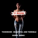 Tookroom & Oziriz - Beautiful and Terrible