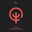 DV8 - Fruits From The Tree