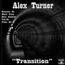 Alex Turner  - Transition