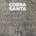 COBRA SANTA - Can't Loose This Touch