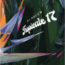 DJ Rocca & Chicken Lips - Tropicale 17 (Chicken Lips Malfunction)