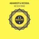 Aquadeep & Veesoul - Never Mind